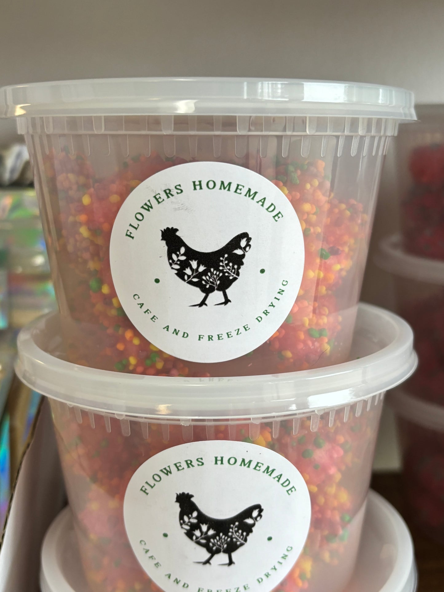 Freeze Dried Gummy Nerds (Rainbow)